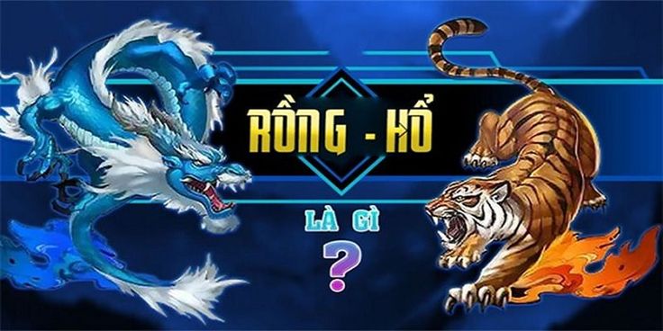 Luật Cơ Bản Trước Khi Áp Dụng Mẹo Đánh Rồng Hổ